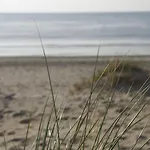 Hampton Nocleg ze śniadaniem