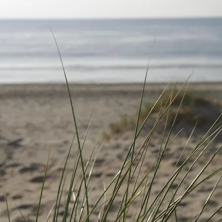 Hampton לינה וארוחת בוקר